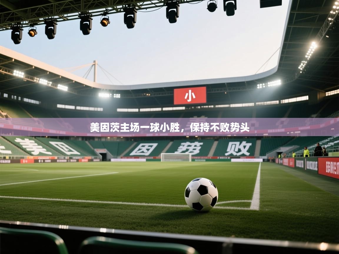 爱游戏-美因茨主场一球小胜，保持不败势头  第2张